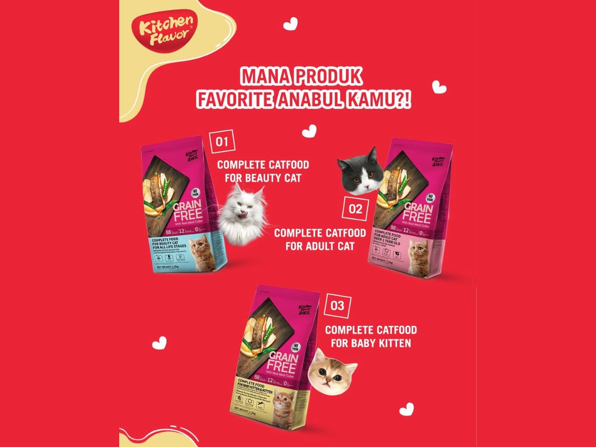 Tips | How to Prevent Dental Problems On Pets