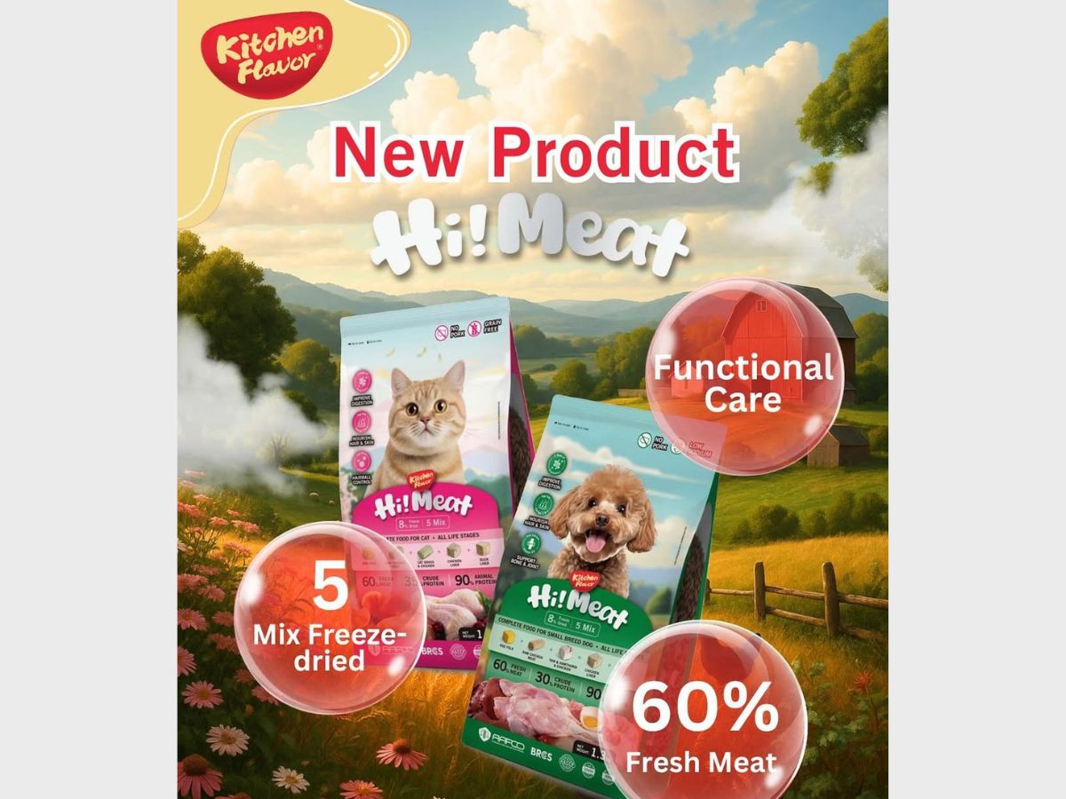 Tips | Are High-Protein Diets Always Better for Pets?