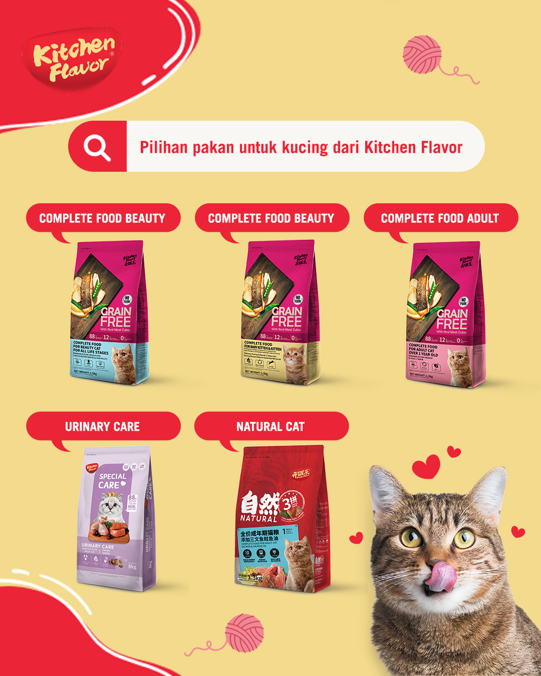 Tips | The Truth About Raw Food Diets for Pet