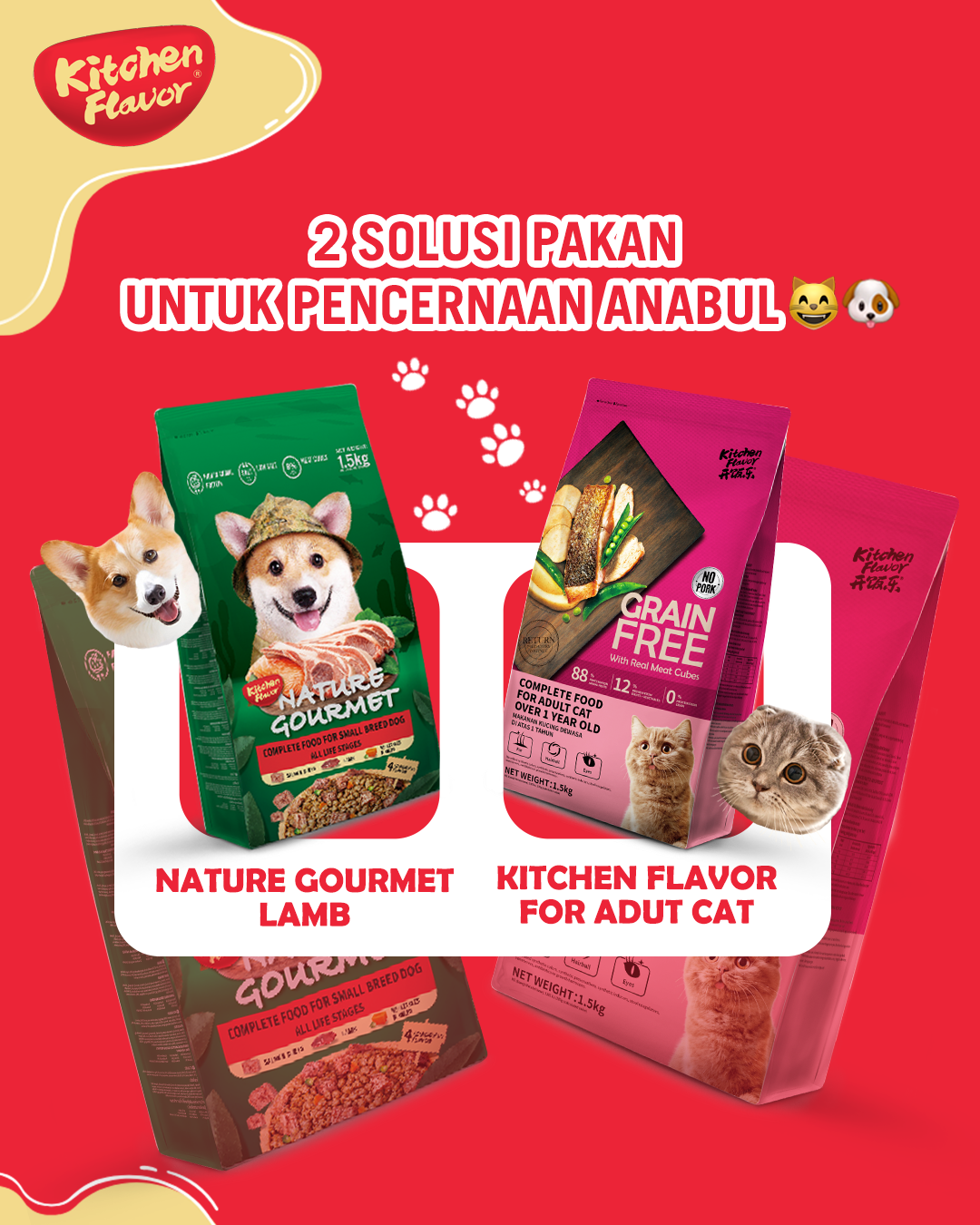 Tips | Best Foods for Sensitive Stomachs