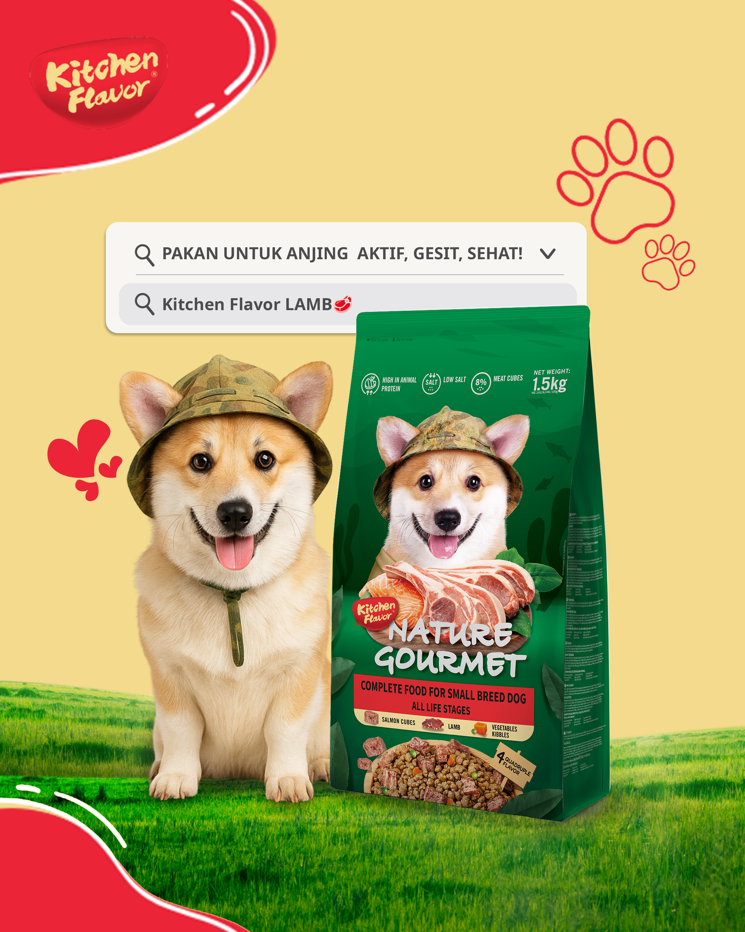 Care | Things to Avoid on Dogs with Sensitive Stomach