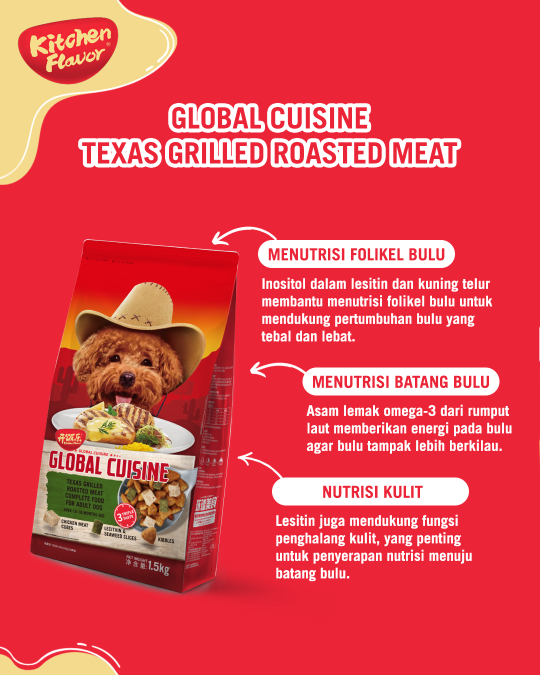 Pet Care | Pet Food Transition