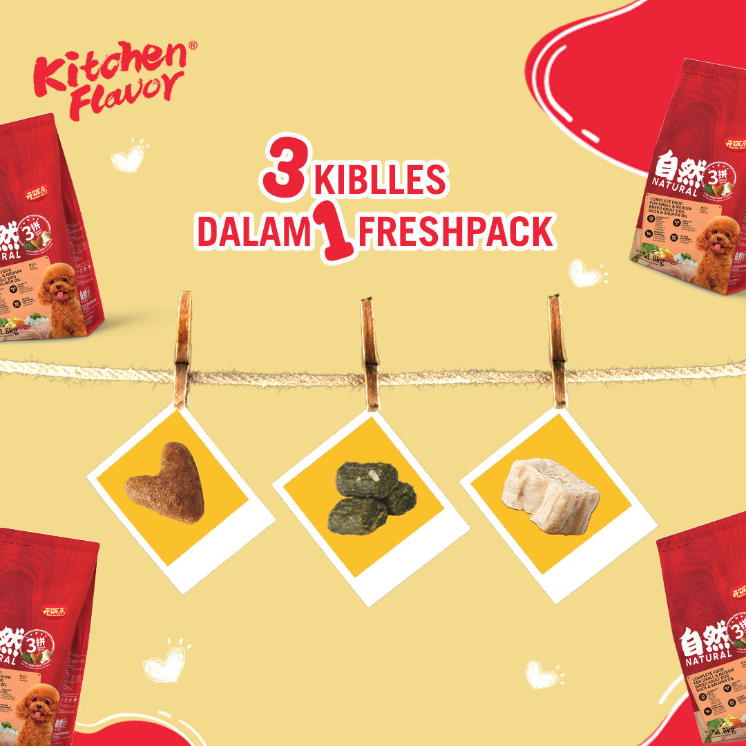 Tips | Toys, and Treats for pet