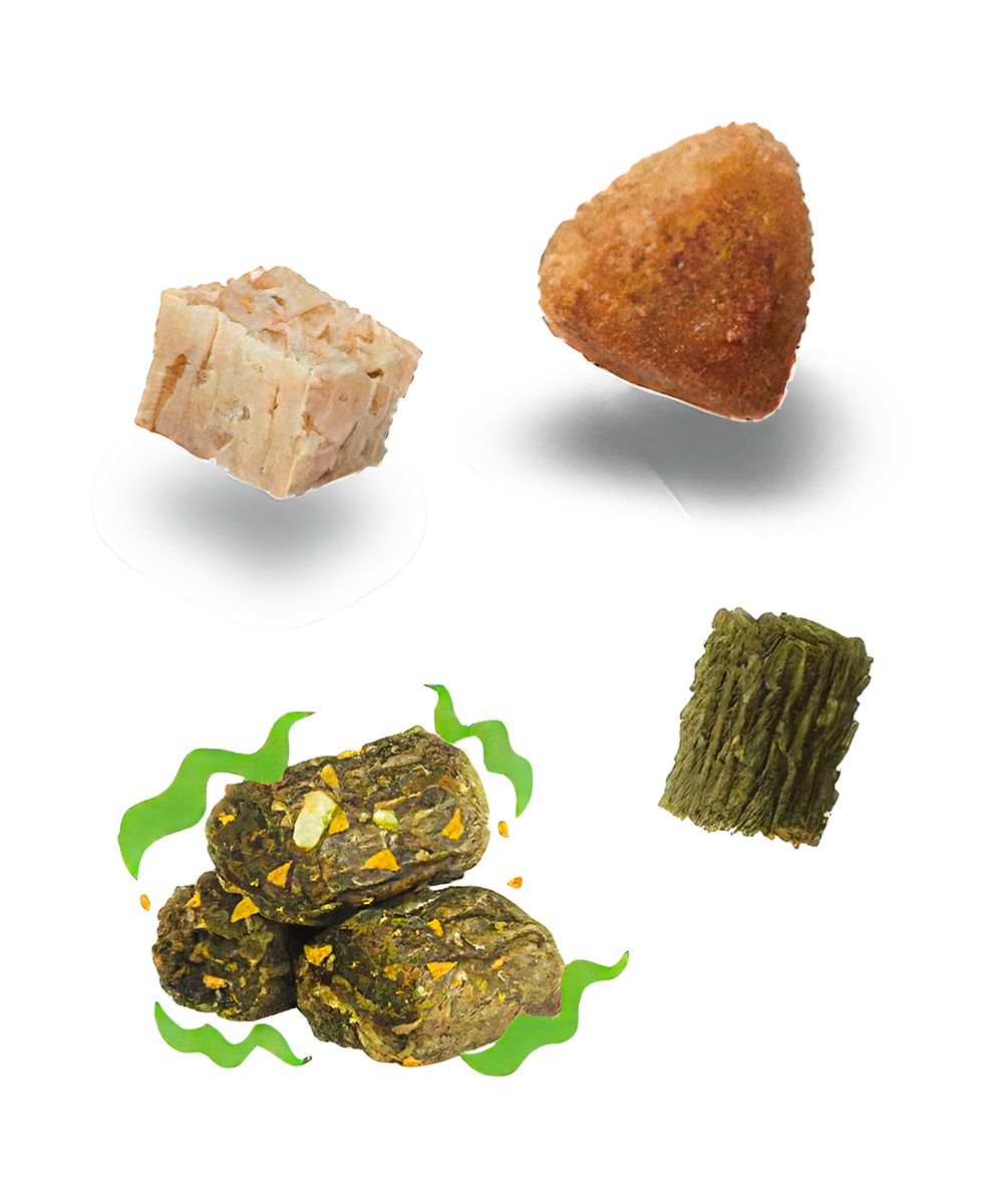 Global Cuisine Texas Grilled Roasted Meat Kibbles