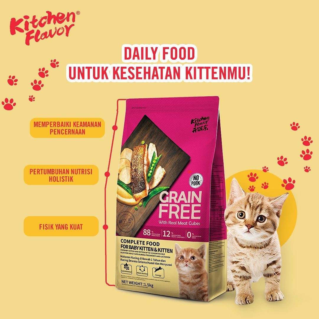 Tips | Feeding Puppies and Kittens